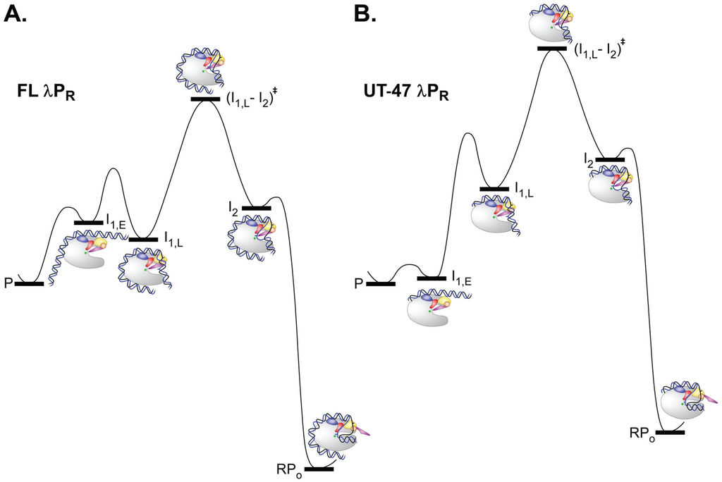 Biomolecules 05 01035 g005 1024