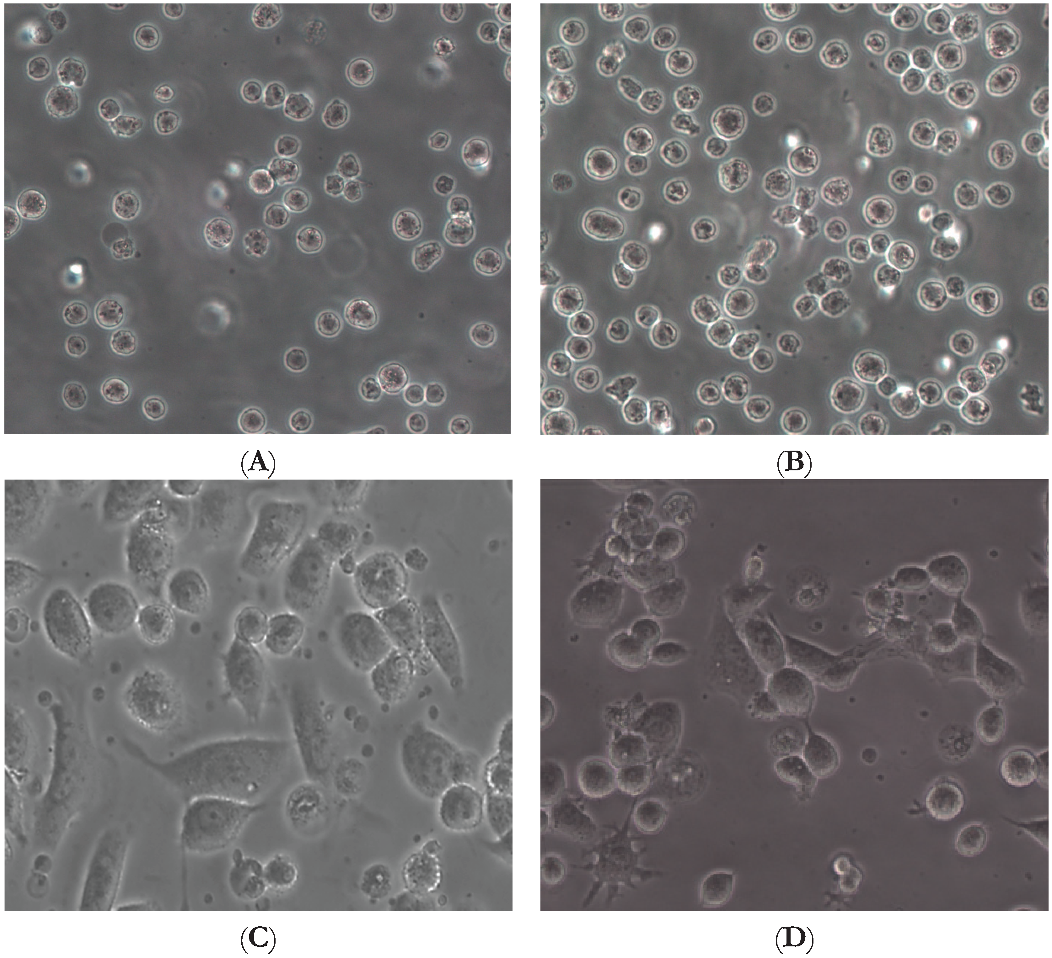 Biomolecules 05 01079 g004