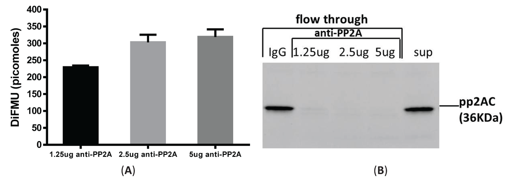 Biomolecules 05 01284 g003a 1024