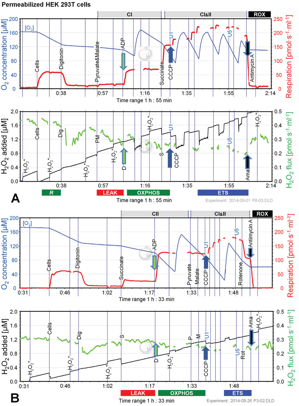 Biomolecules 05 01319 g003 1024