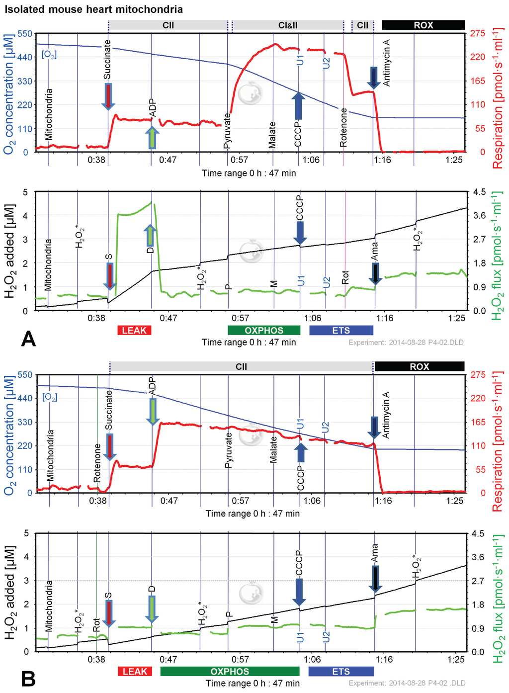 Biomolecules 05 01319 g008 1024