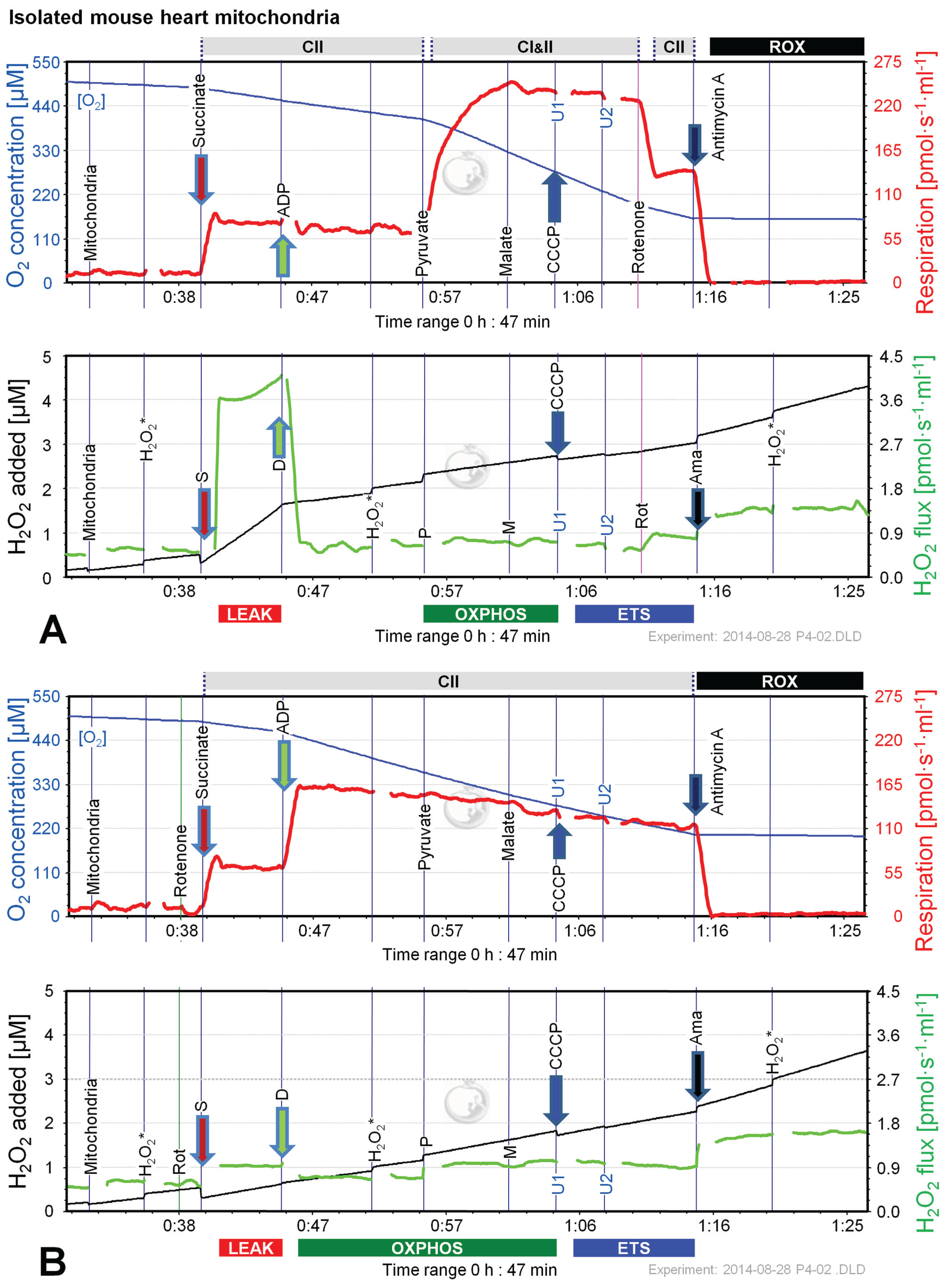 Biomolecules 05 01319 g008