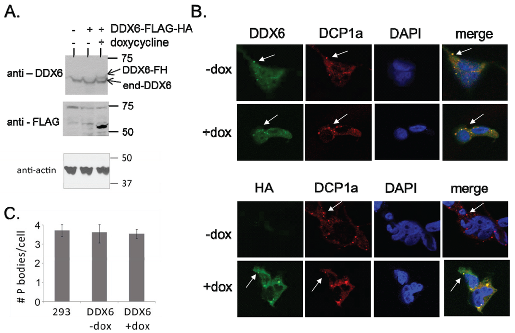 Biomolecules 05 01441 g001 1024