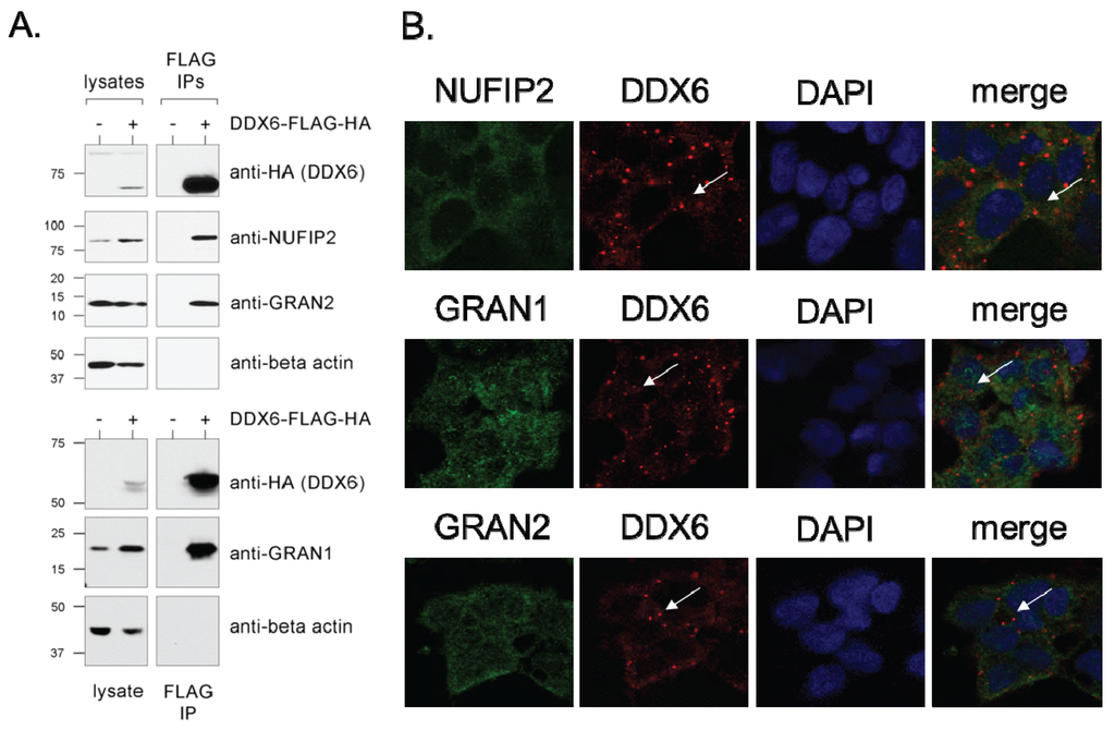 Biomolecules 05 01441 g003 1024