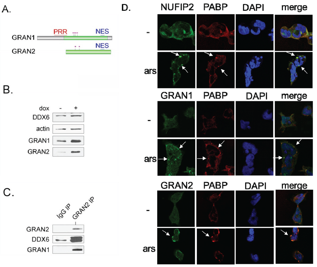 Biomolecules 05 01441 g004 1024