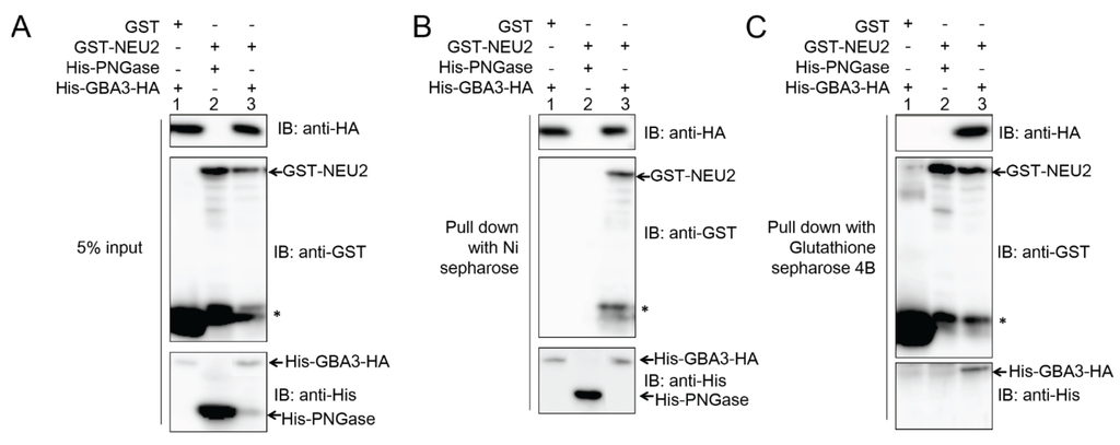 Biomolecules 05 01499 g002 1024