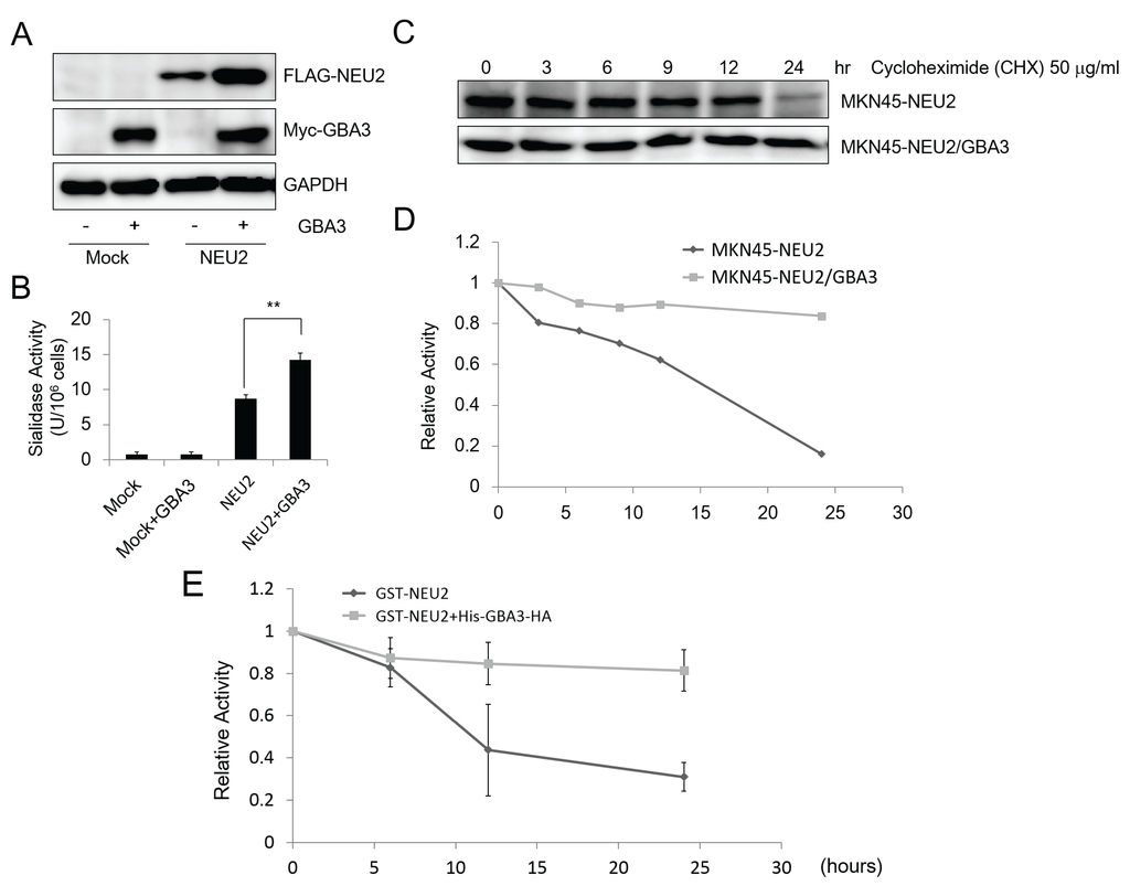 Biomolecules 05 01499 g004 1024