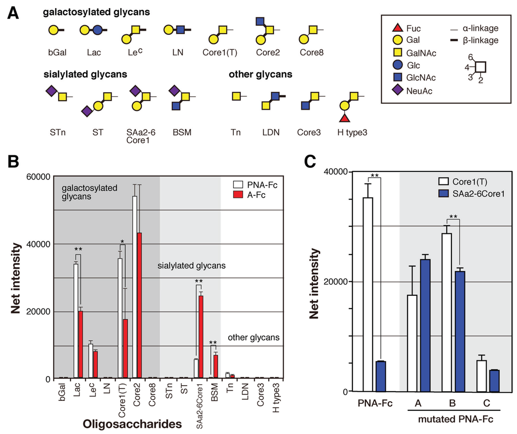 Biomolecules 05 01540 g007 1024
