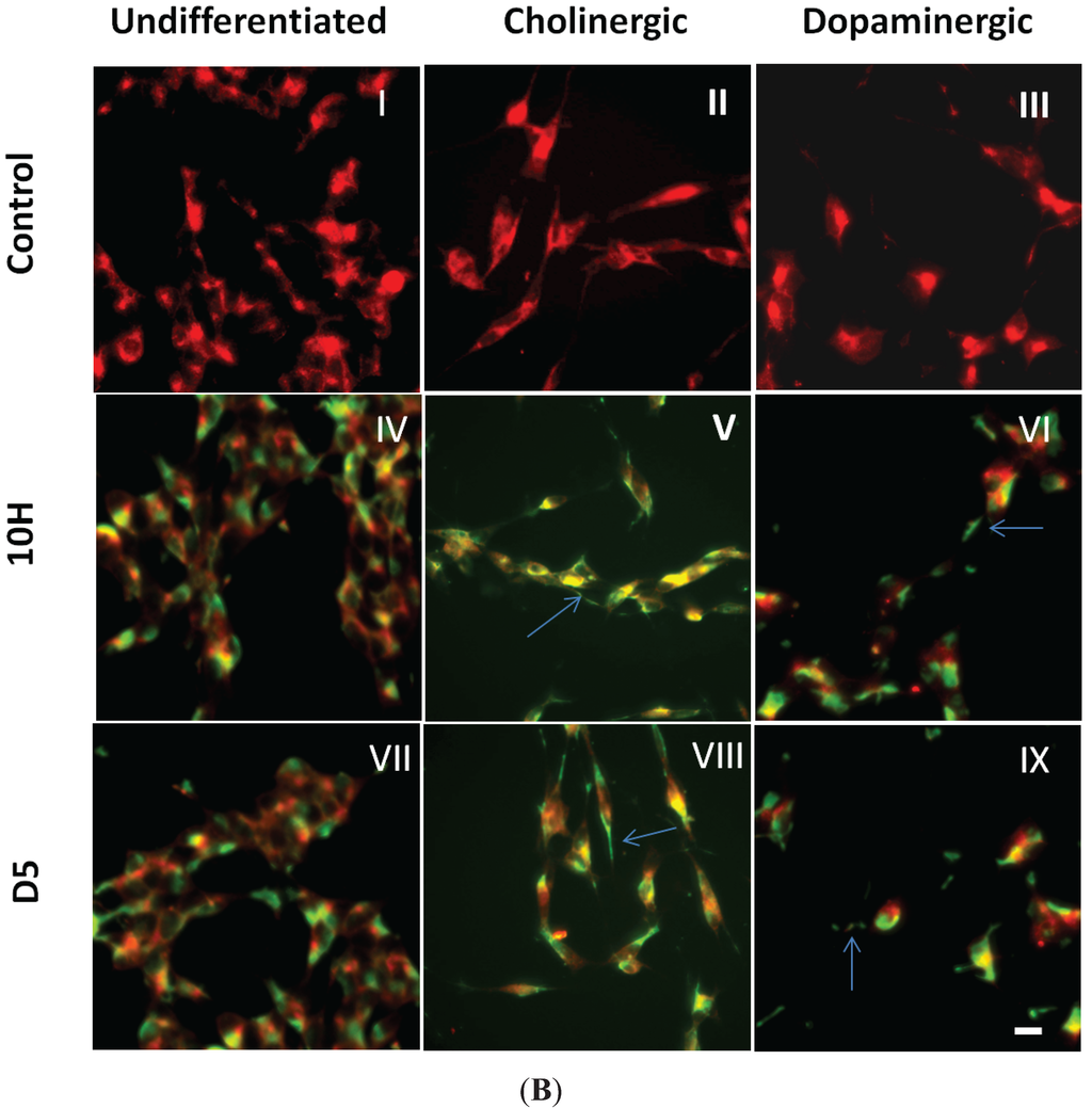 Biomolecules 05 01634 g003b 1024