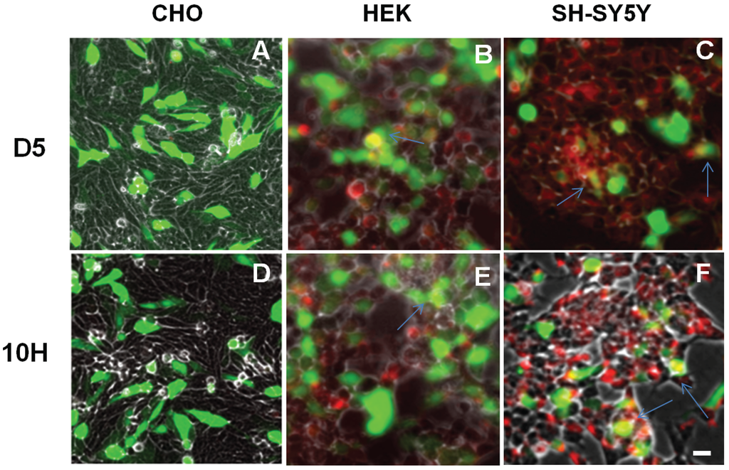 Biomolecules 05 01634 g004 1024