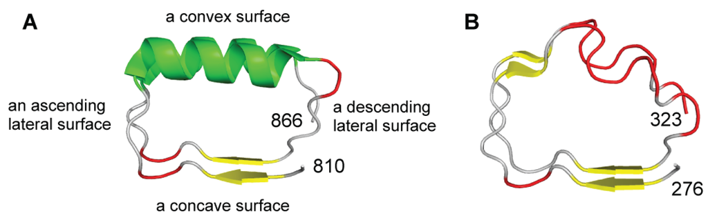 Biomolecules 05 01955 g002 1024
