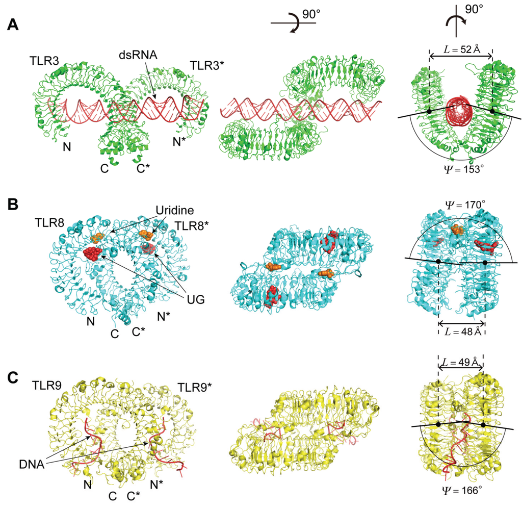 Biomolecules 05 01955 g006a 1024