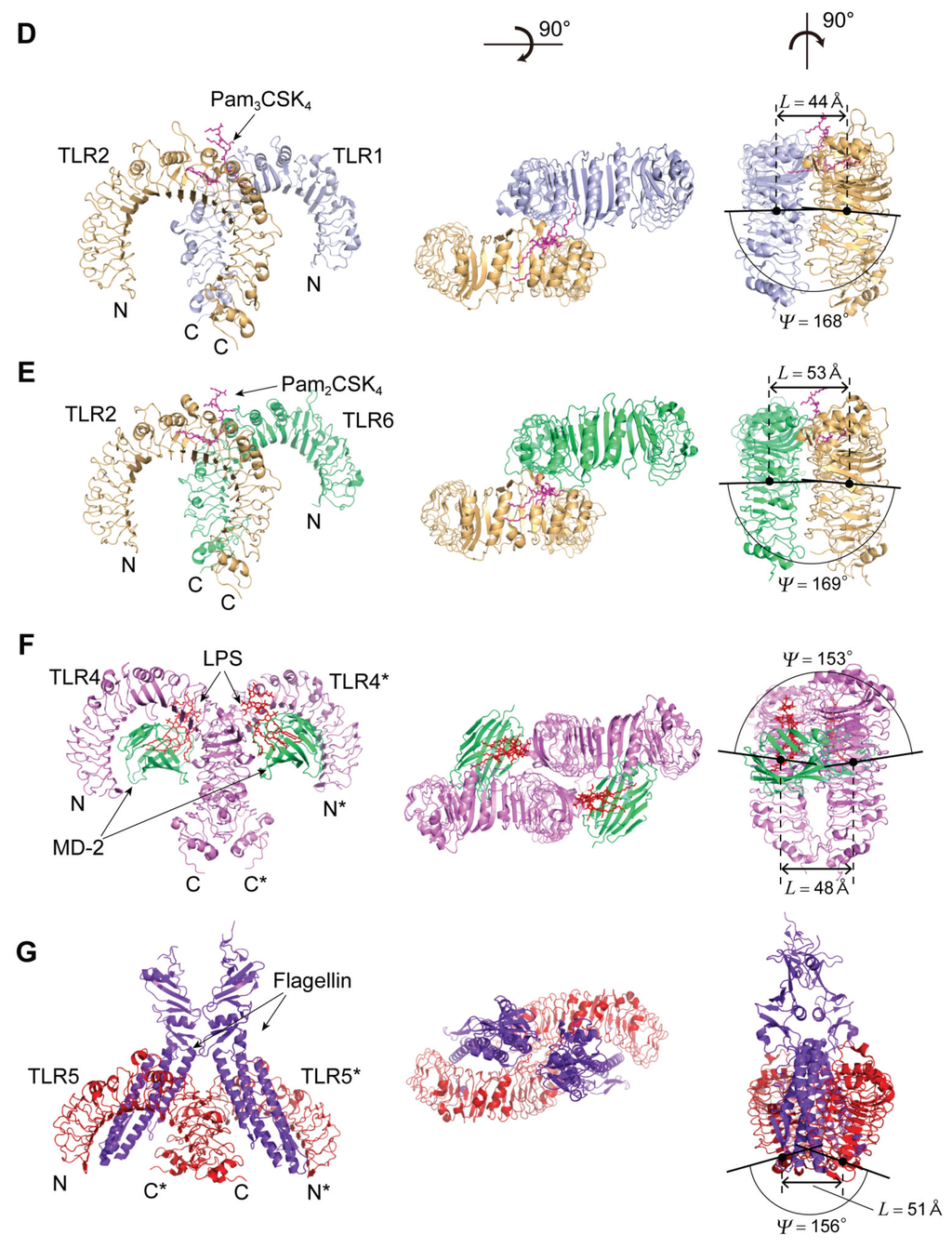 Biomolecules 05 01955 g006b 1024