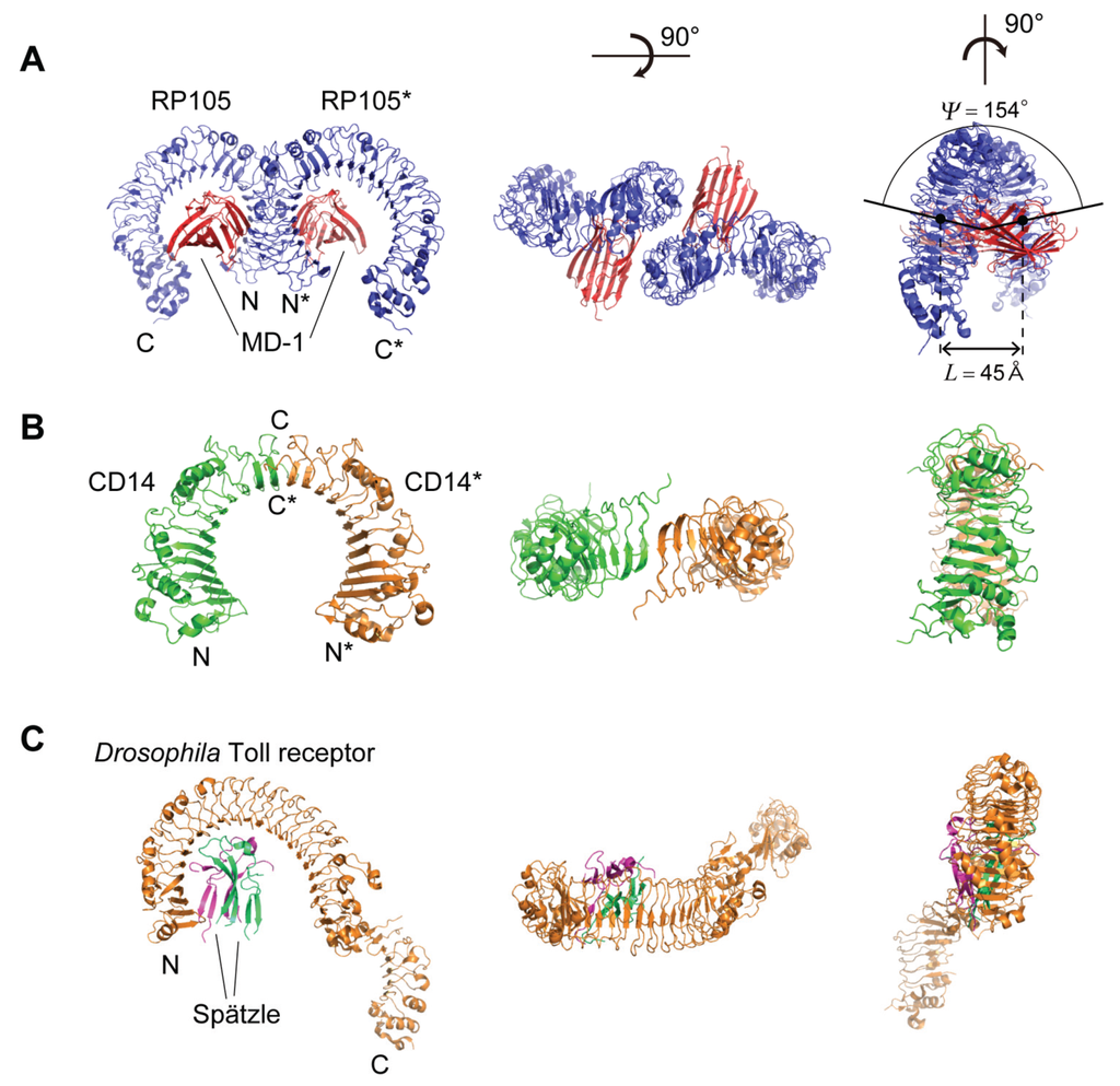 Biomolecules 05 01955 g007 1024