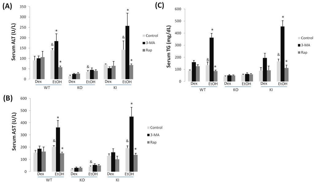 Biomolecules 05 02659 g001 1024