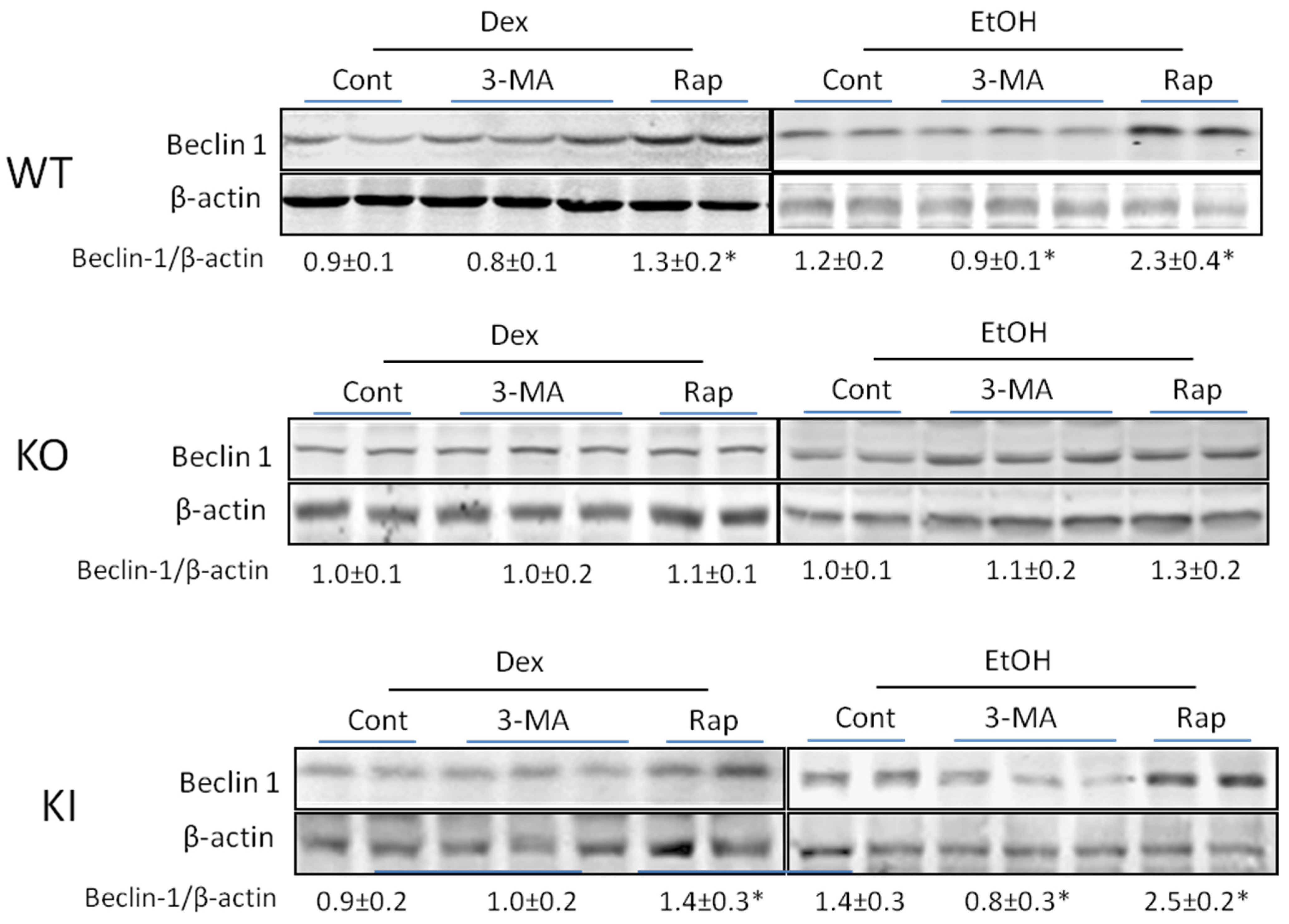 Biomolecules 05 02659 g005