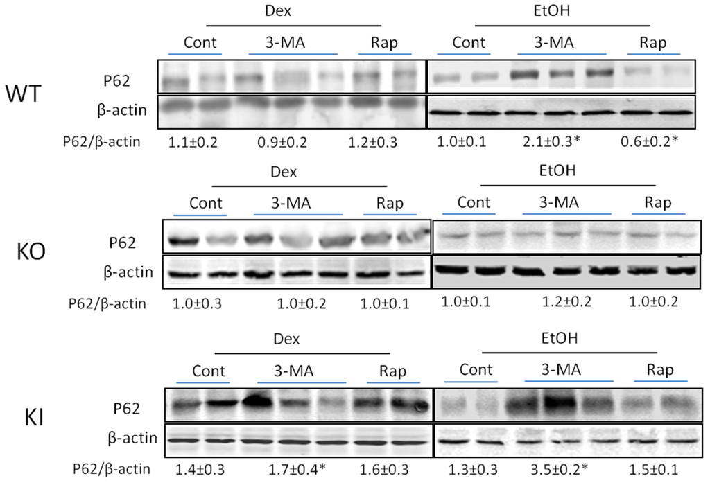 Biomolecules 05 02659 g007 1024