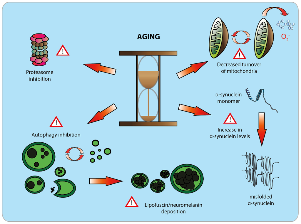Biomolecules 05 02675 g002 1024