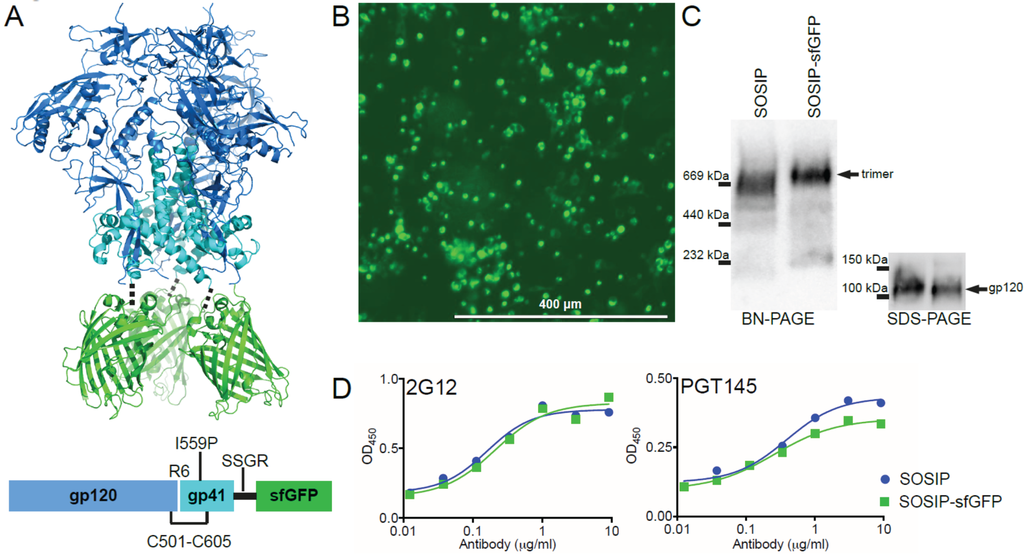 Biomolecules 05 02919 g001 1024