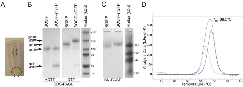 Biomolecules 05 02919 g002 1024