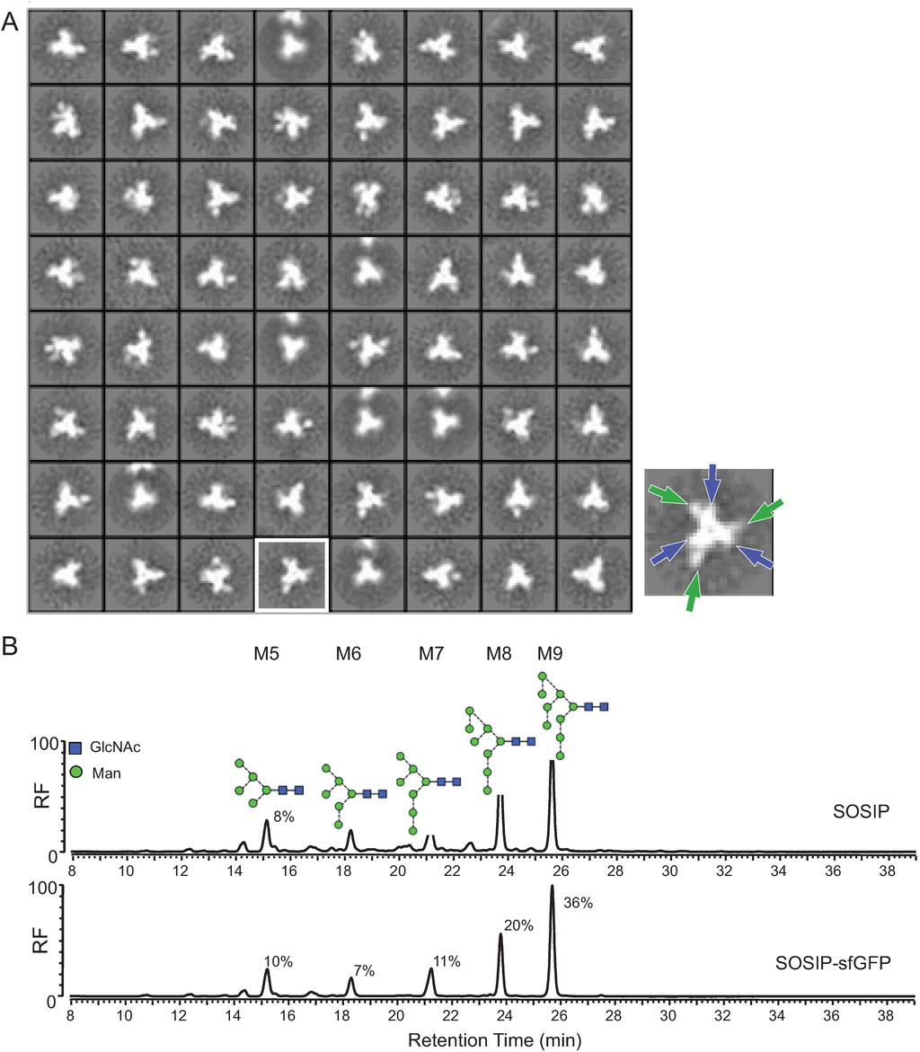 Biomolecules 05 02919 g003 1024