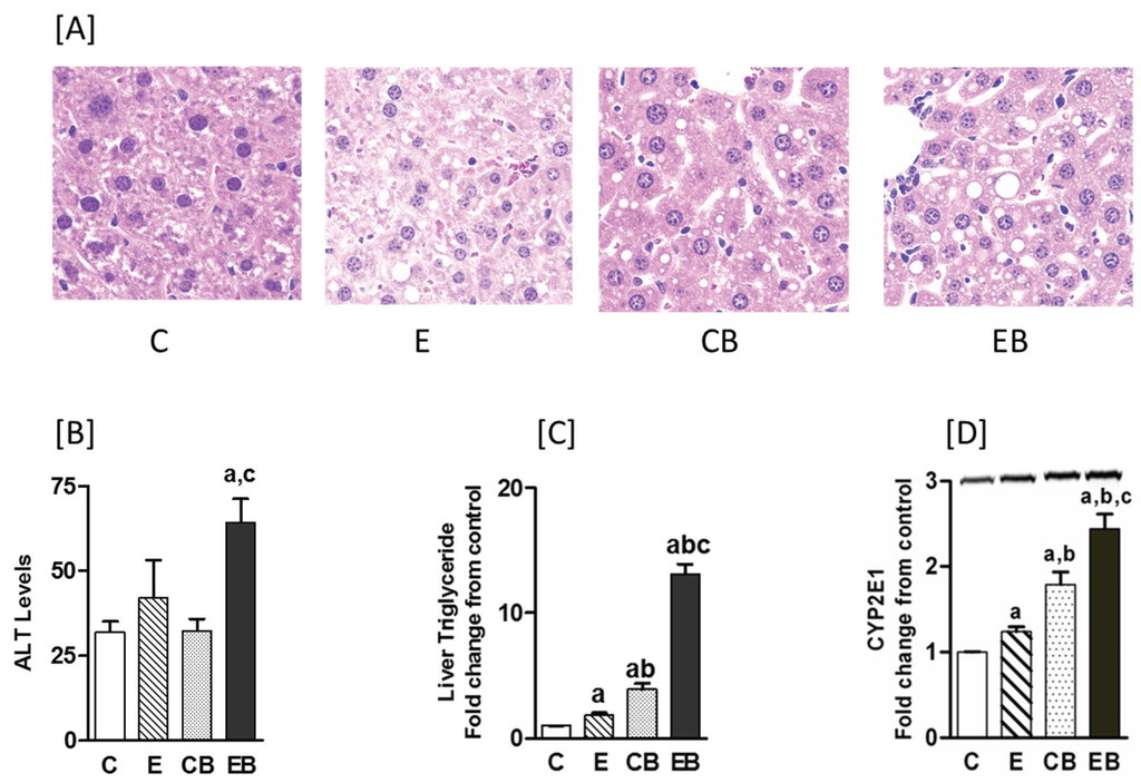 Biomolecules 05 03280 g001 1024