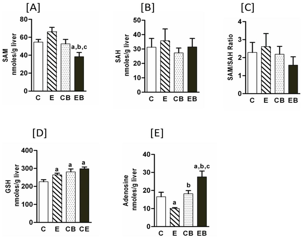 Biomolecules 05 03280 g002 1024