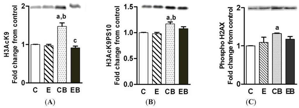 Biomolecules 05 03280 g005 1024