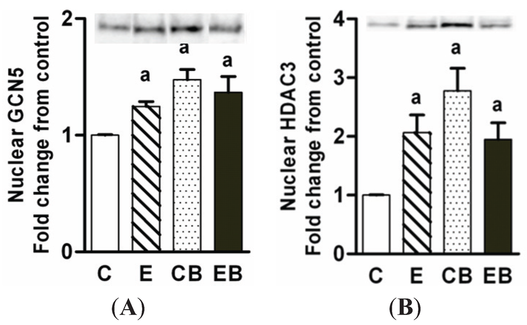 Biomolecules 05 03280 g006 1024