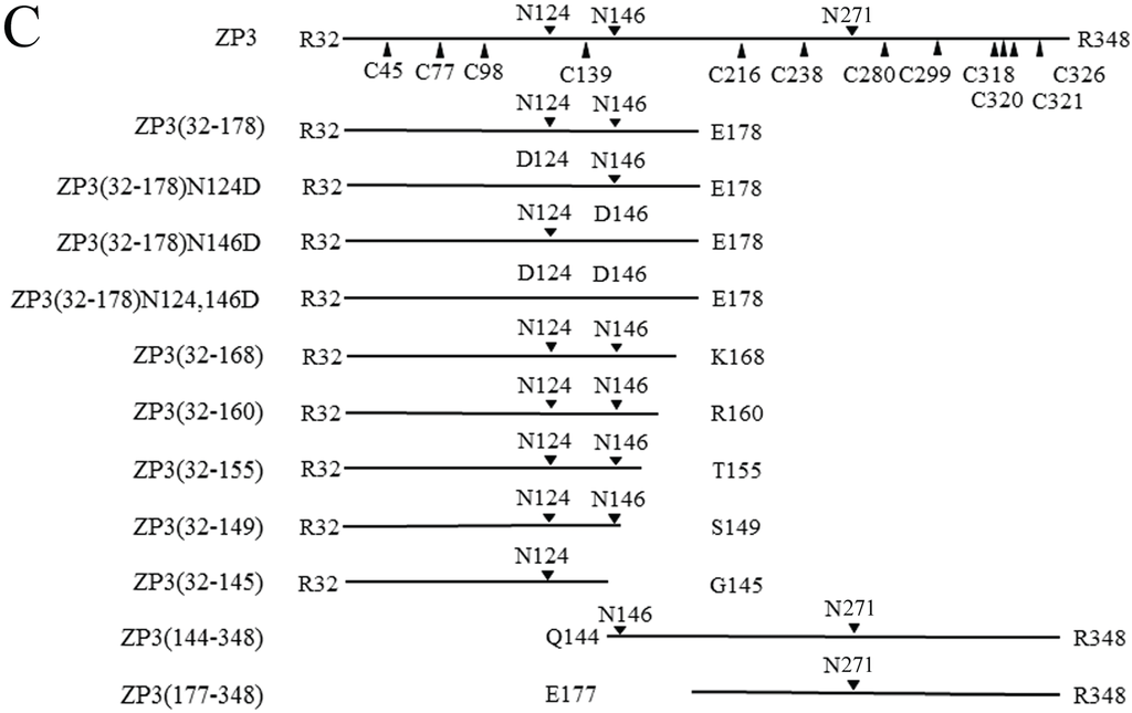 Biomolecules 05 03339 g001b 1024