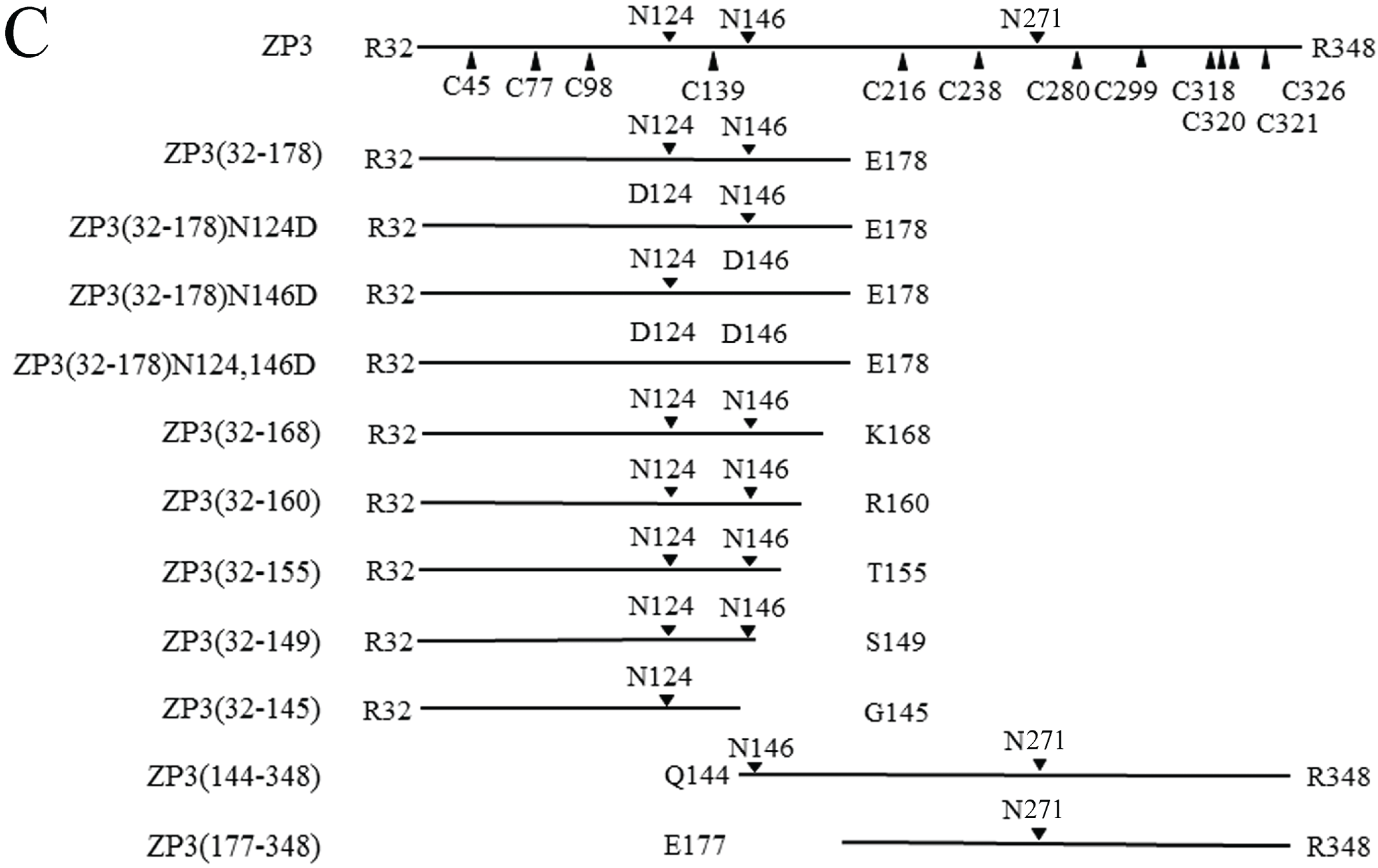 Biomolecules 05 03339 g001b
