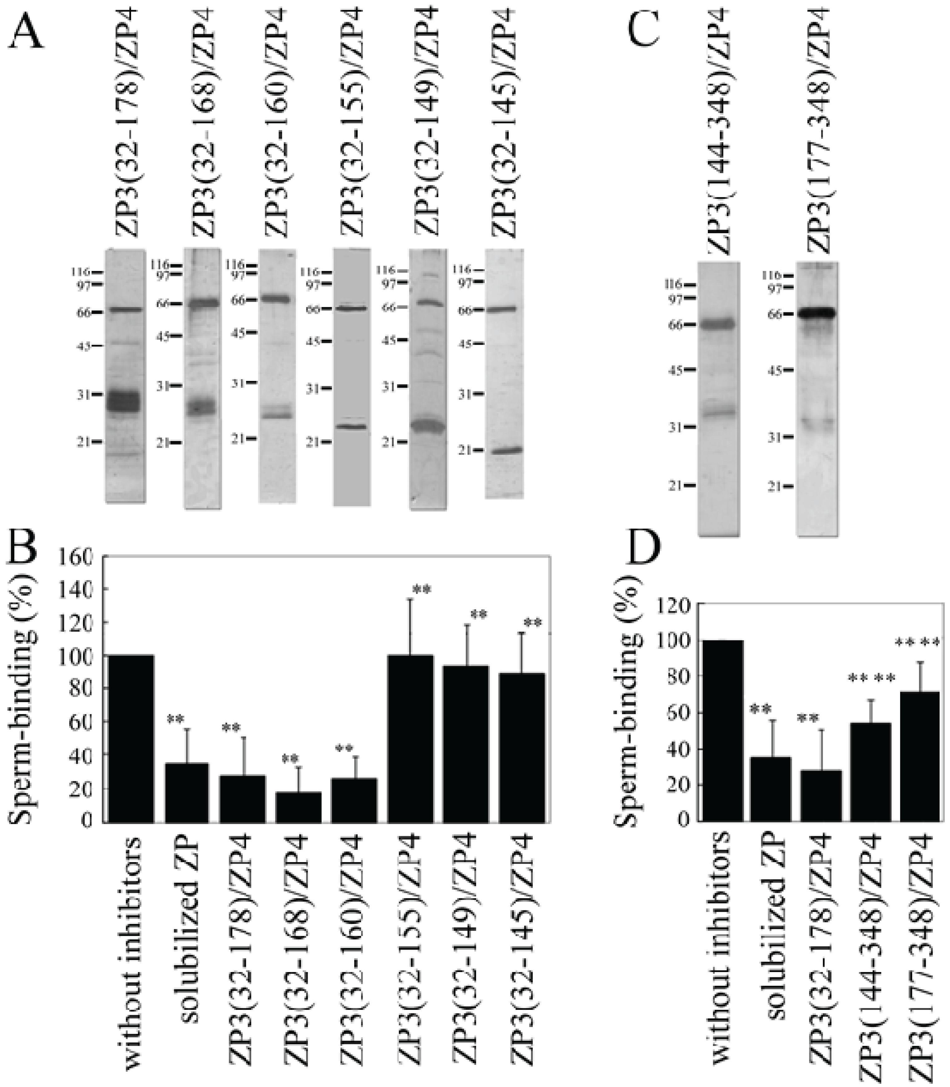 Biomolecules 05 03339 g003