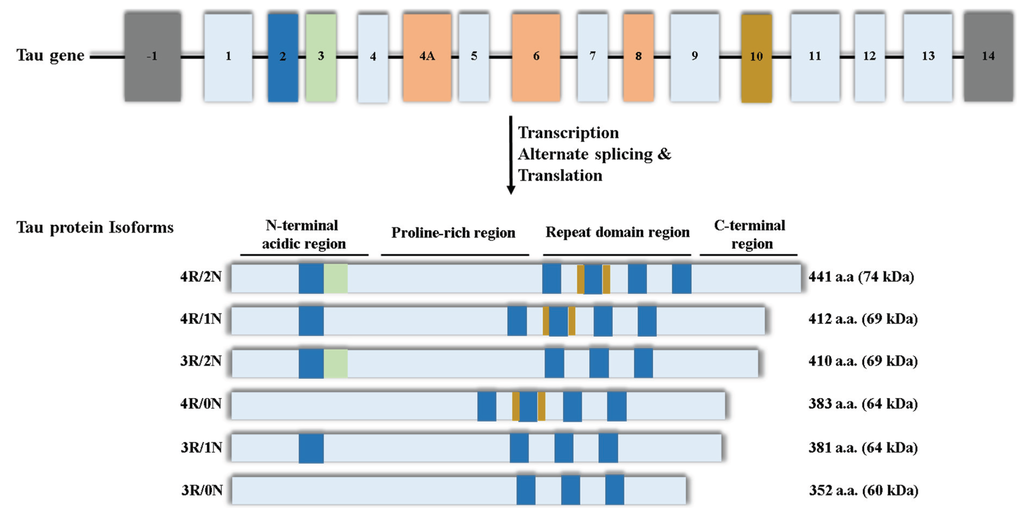 Biomolecules 06 00009 g001 1024