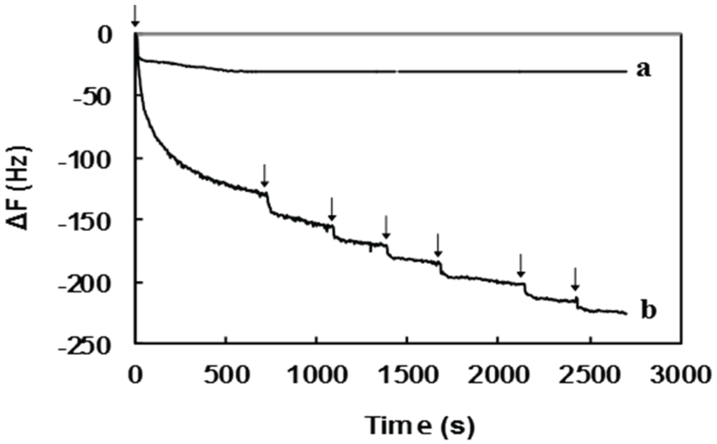 Biomolecules 06 00012 g002 1024