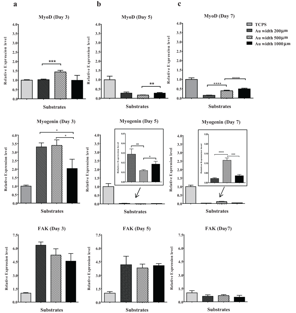 Biomolecules 06 00012 g005 1024