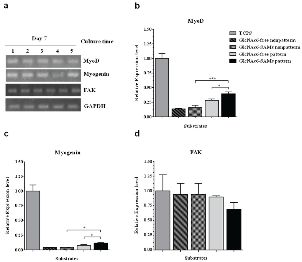 Biomolecules 06 00012 g006 1024