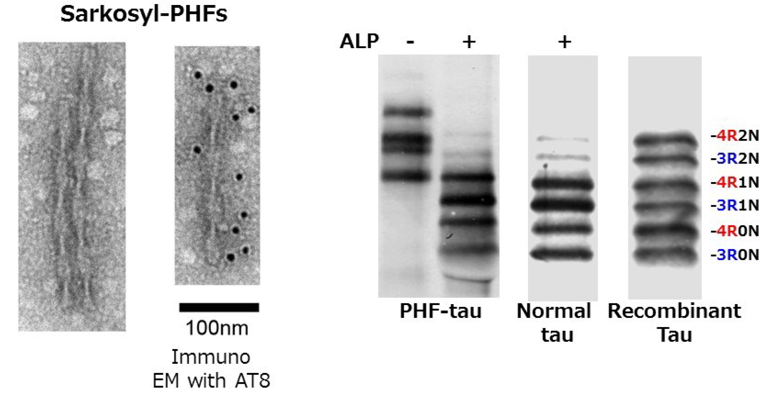 Biomolecules 06 00024 g001