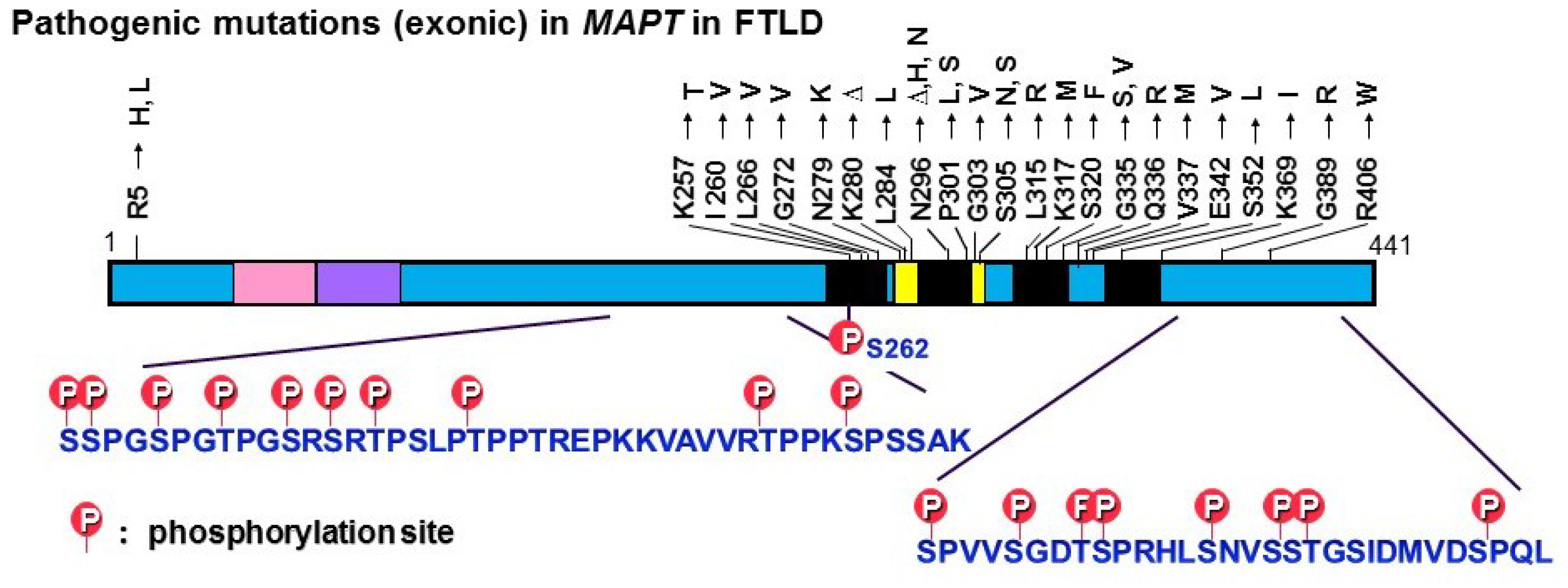 Biomolecules 06 00024 g002