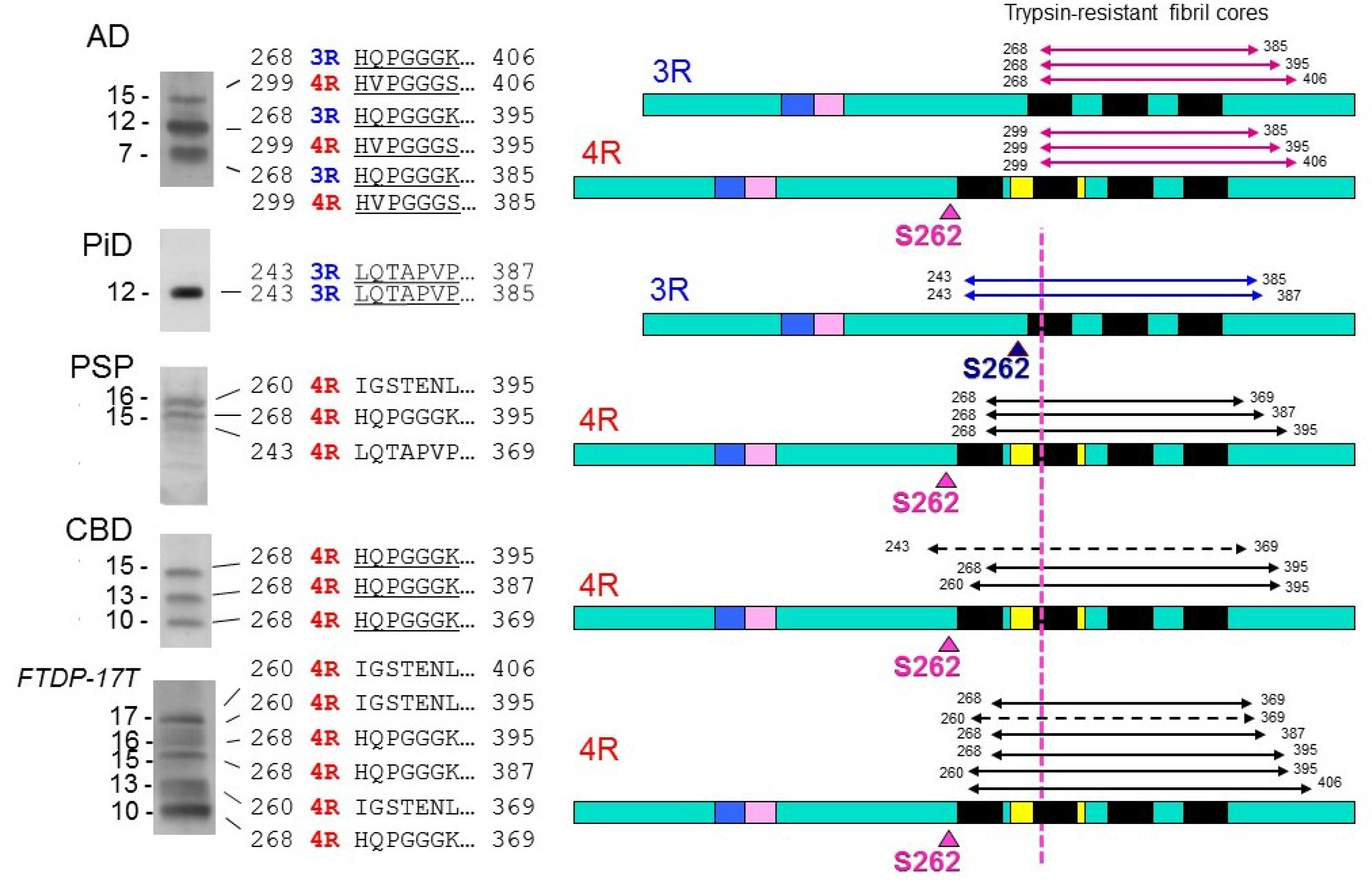 Biomolecules 06 00024 g003