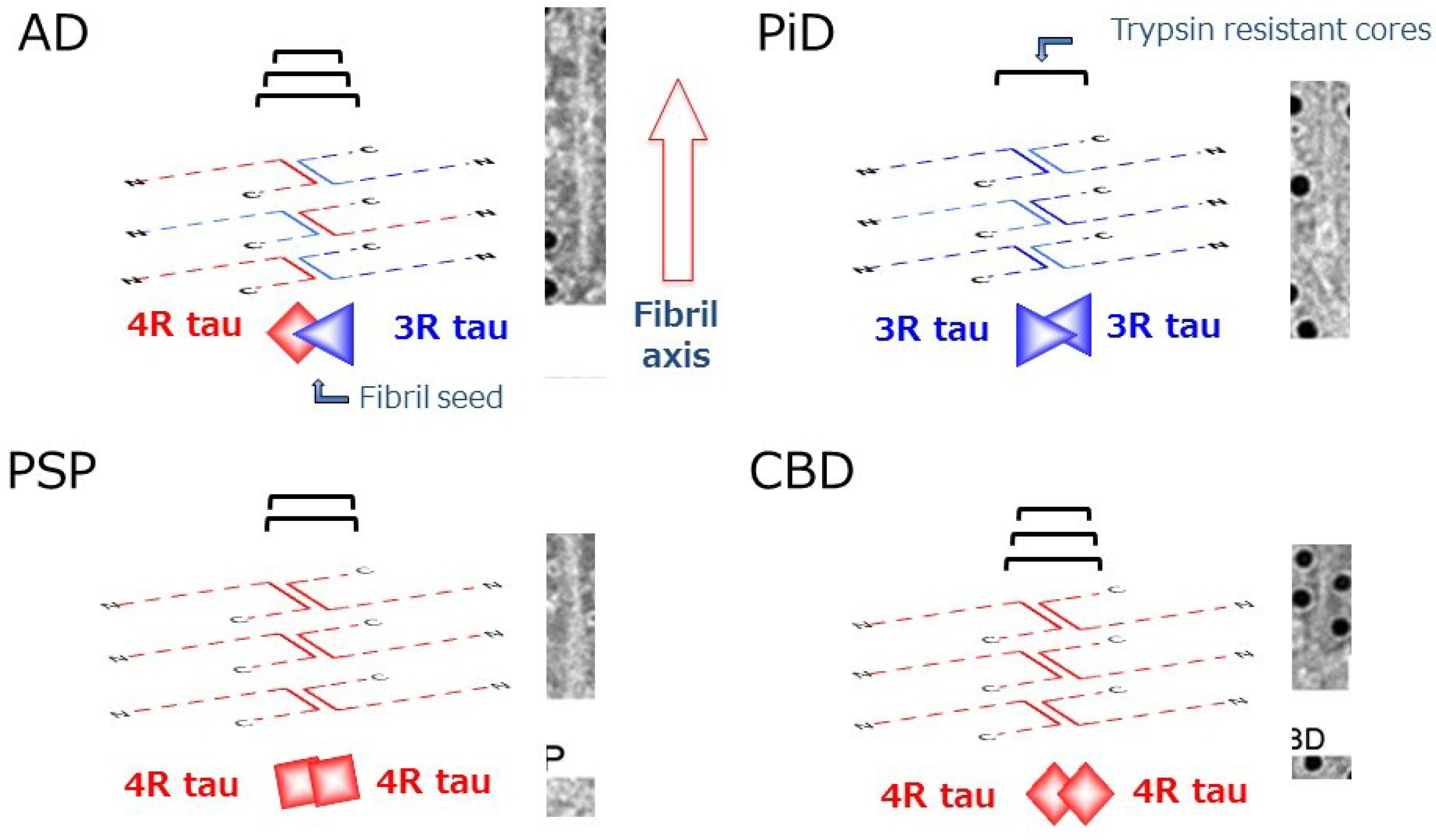 Biomolecules 06 00024 g004