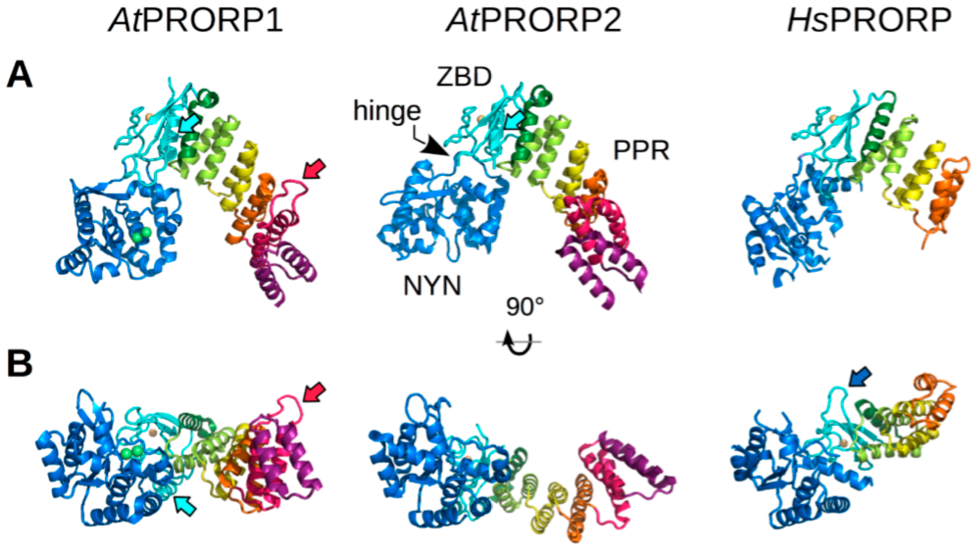 Biomolecules 06 00030 g001