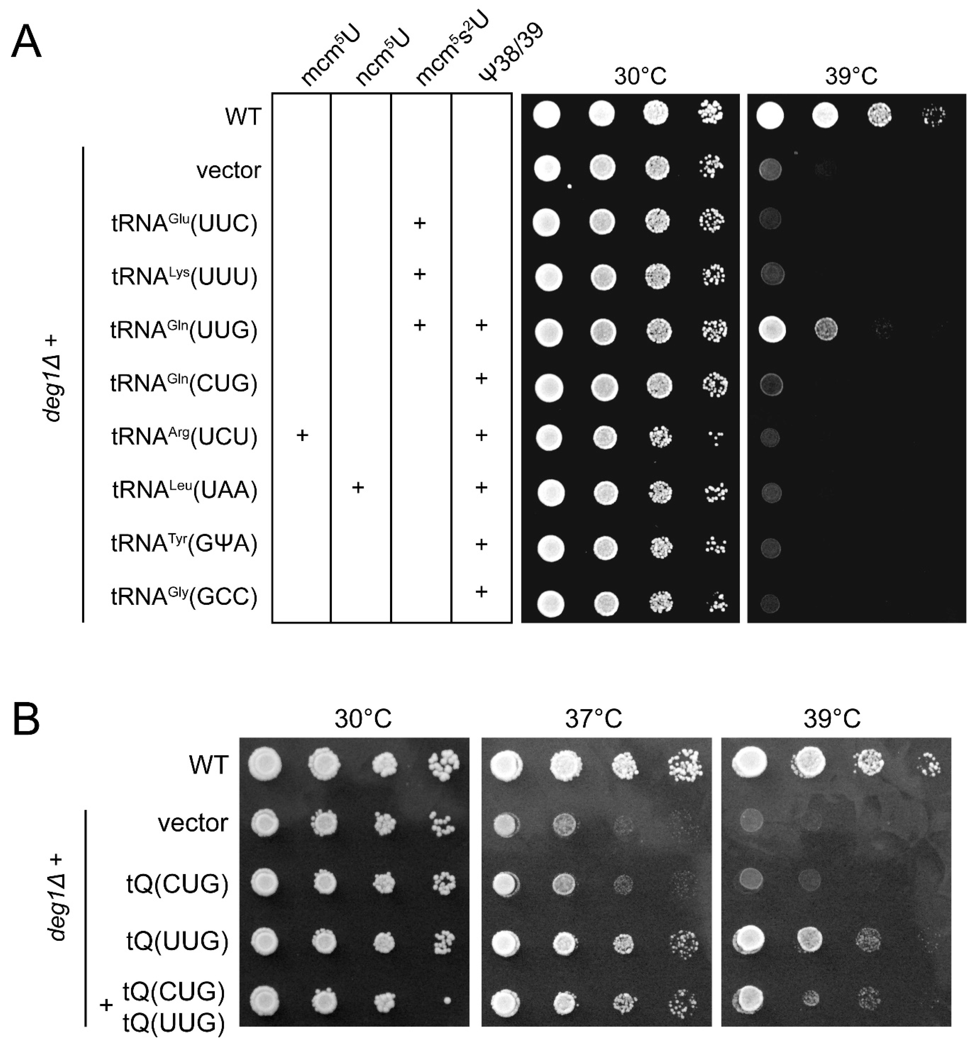 Biomolecules 07 00008 g001