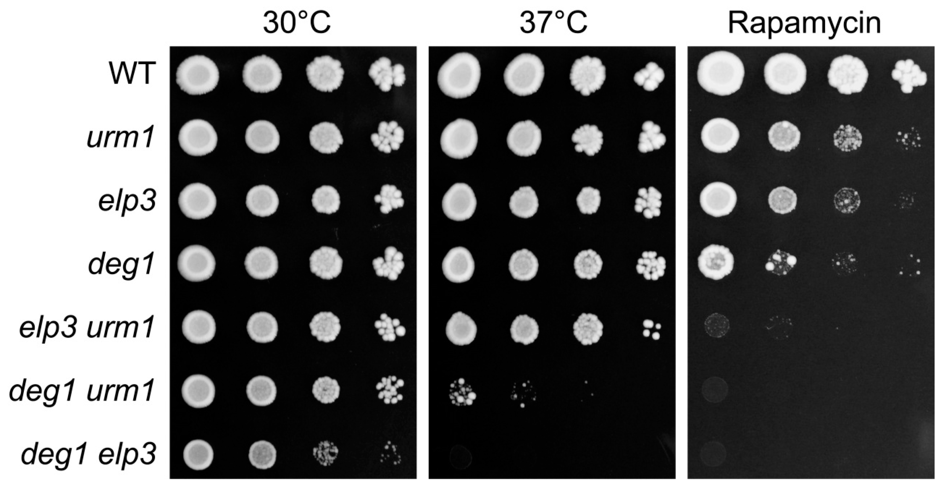 Biomolecules 07 00008 g002
