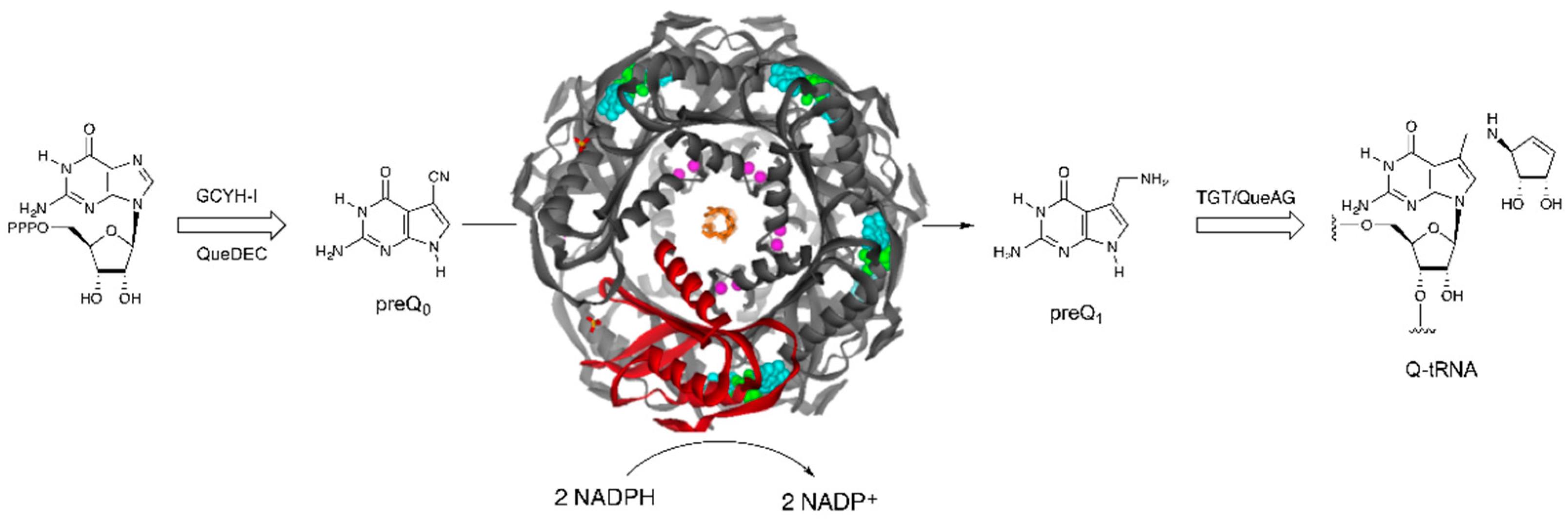 Biomolecules 07 00030 g001