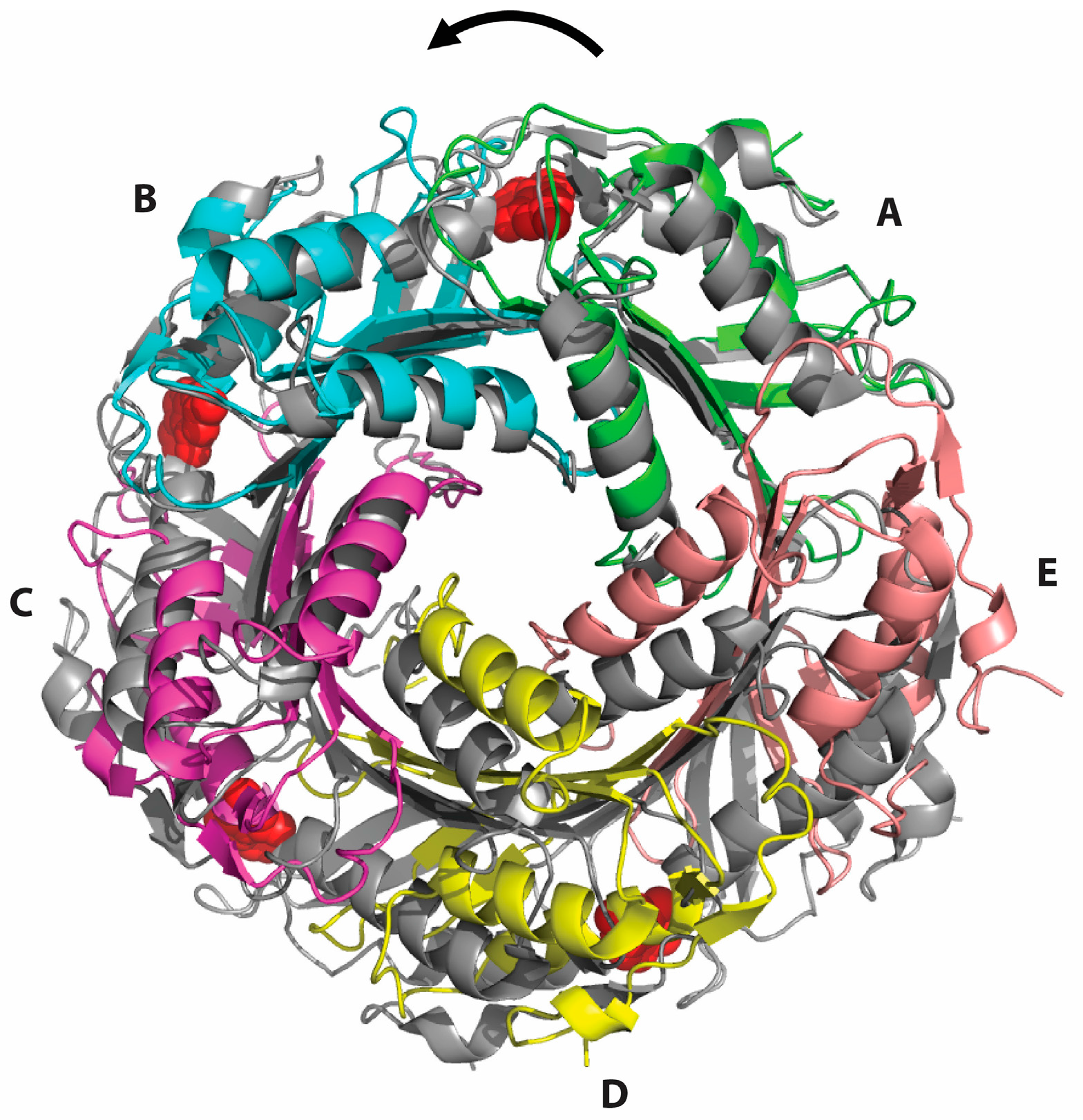 Biomolecules 07 00030 g004