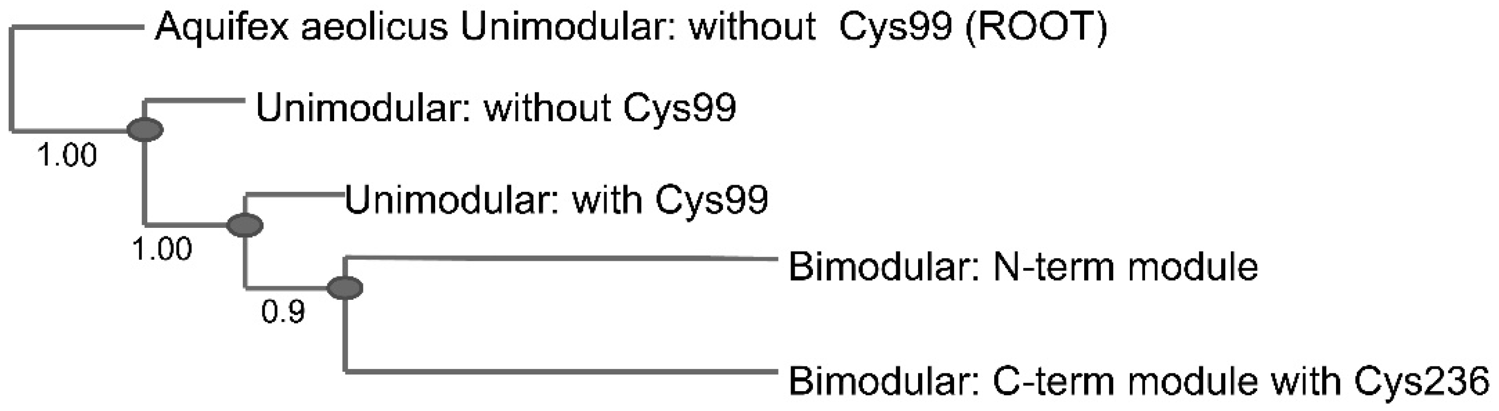 Biomolecules 07 00030 g006