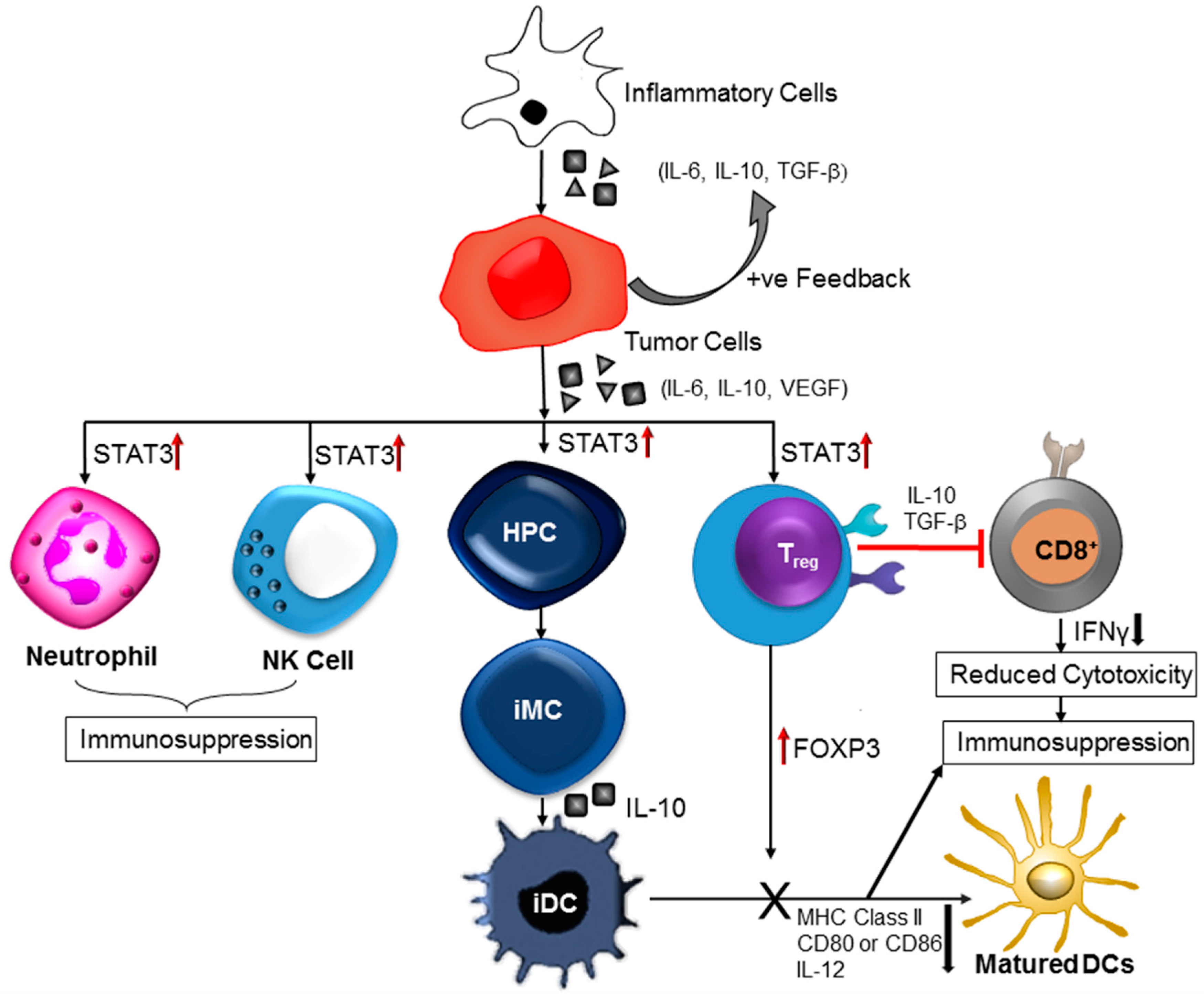 Biomolecules 07 00034 g003
