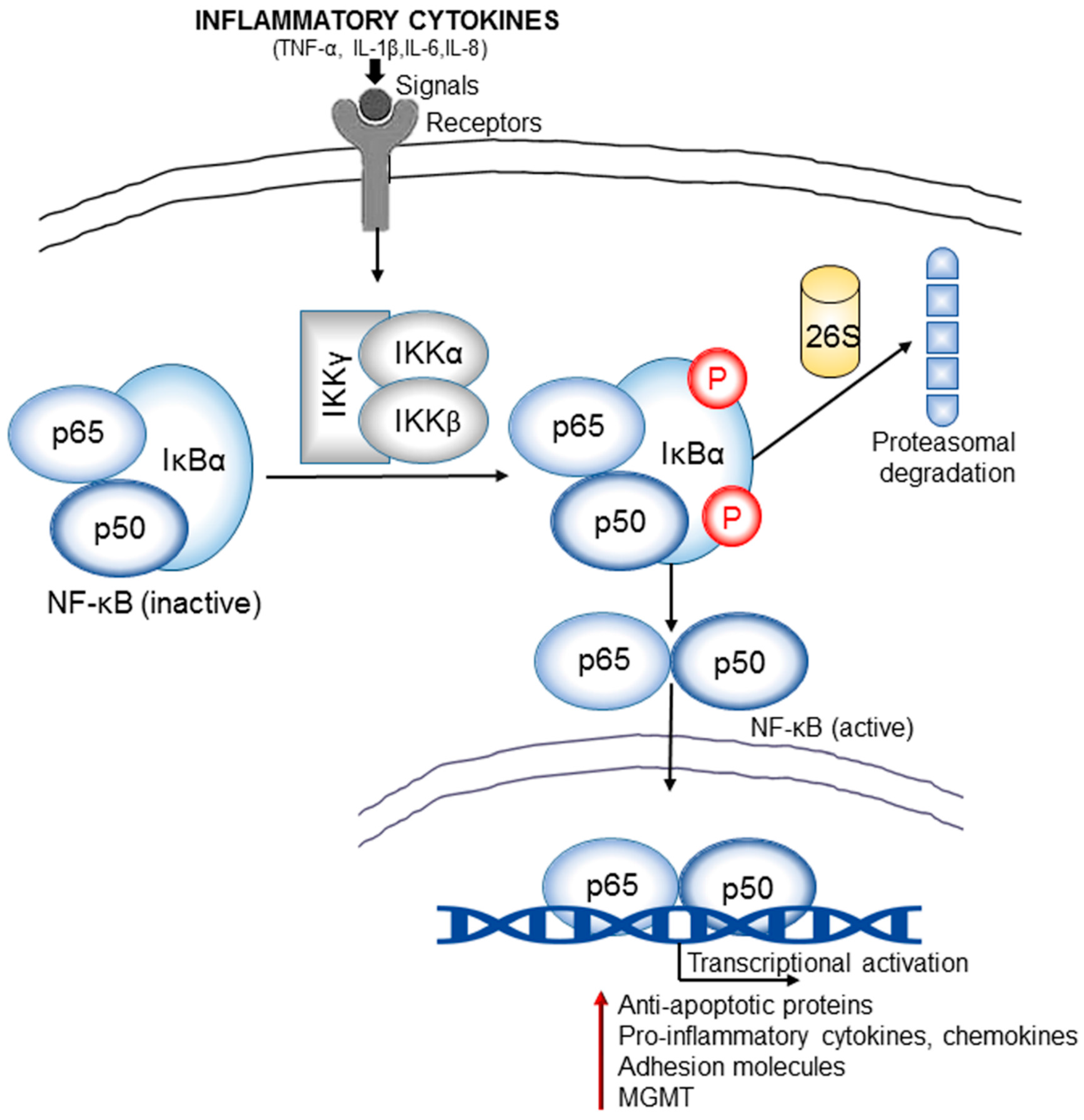 Biomolecules 07 00034 g004