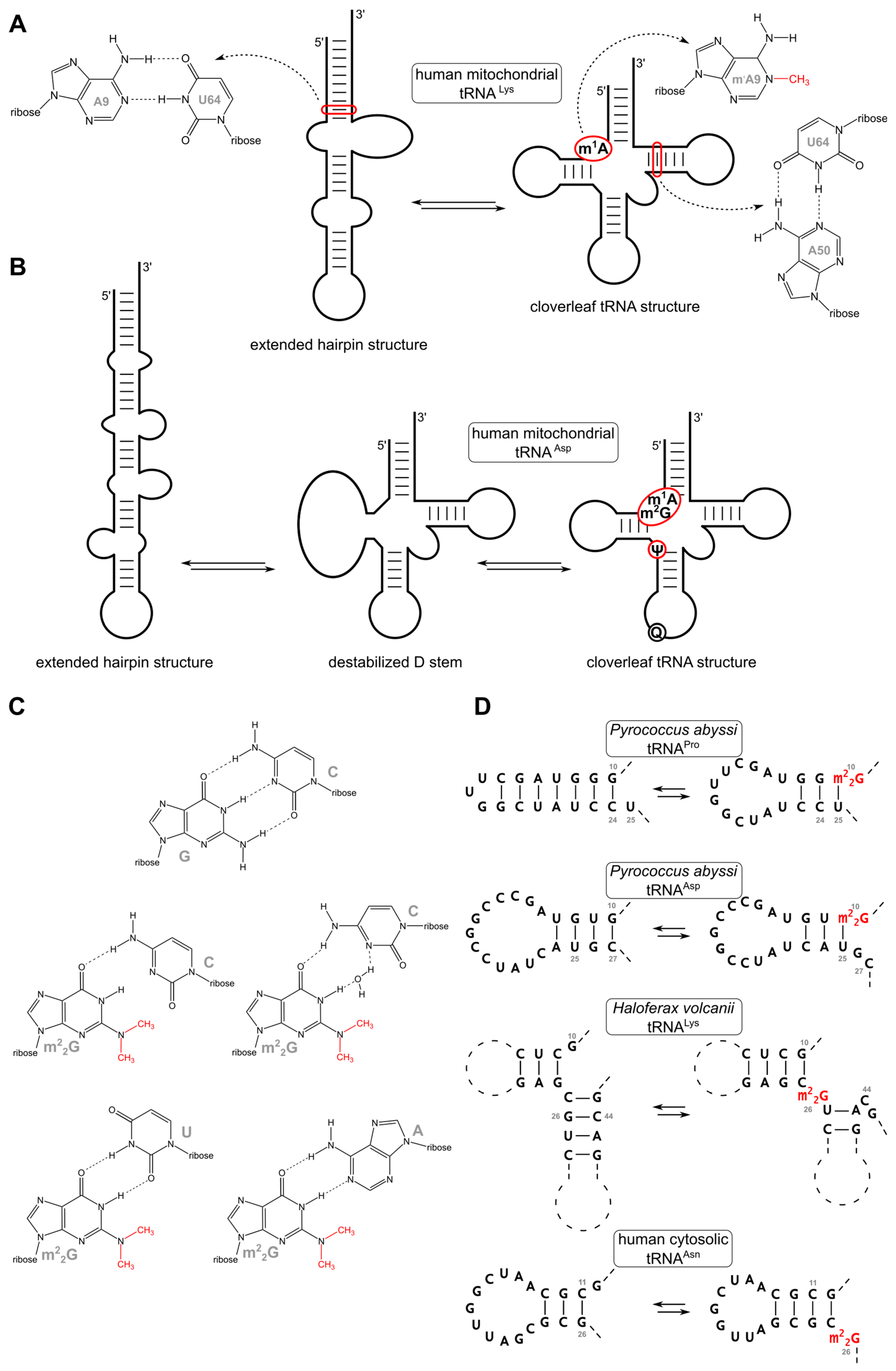 Biomolecules 07 00035 g004