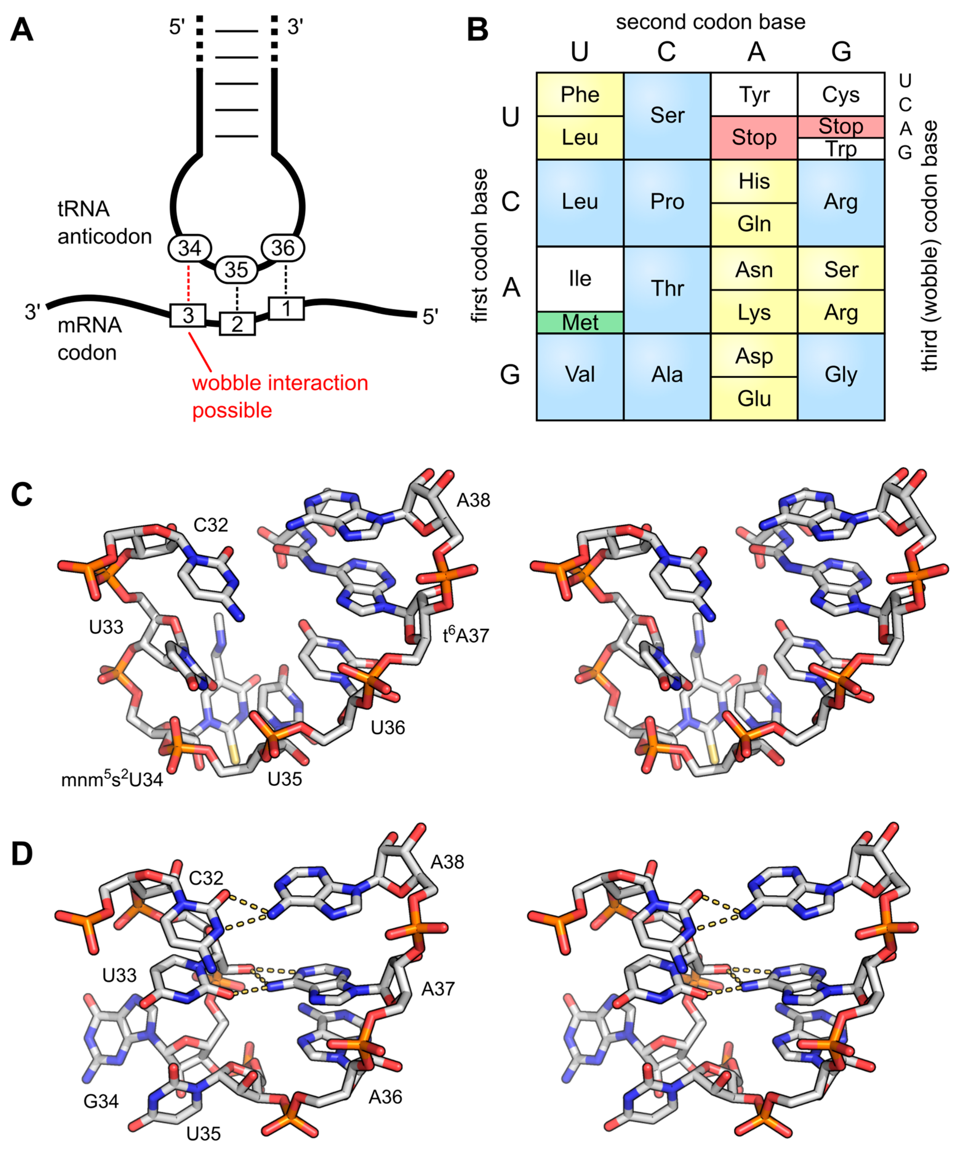 Biomolecules 07 00035 g005